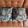 Cushions x 2 Image 3