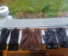 gloves