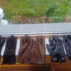 gloves