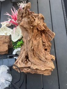 natural driftwood for aquarium