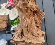natural driftwood for aquarium
