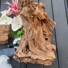 natural driftwood for aquarium