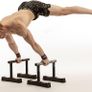 RAMASS Fitness Parallettes Image 2