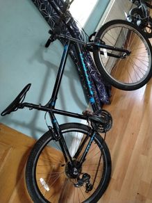 men's bike carrera