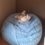 Blue Budda Bag Mini - Bean Bag Image 4