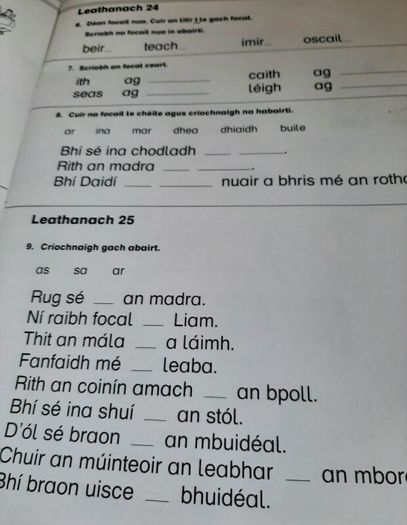 Fallons vintage Gaeilge books