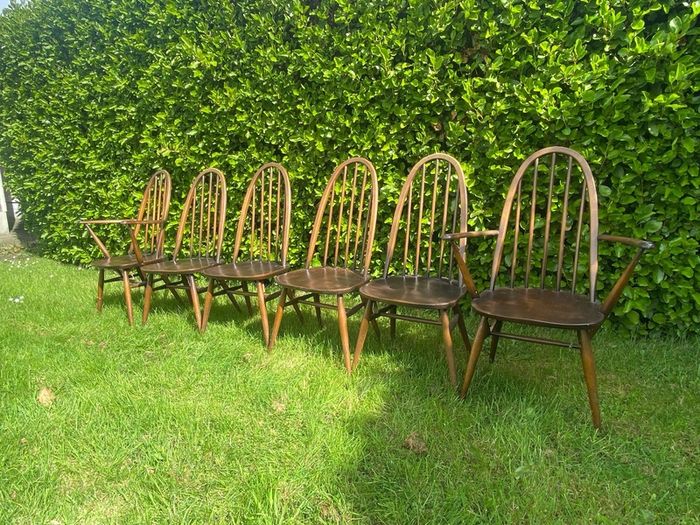 ercol Windsor dining chairs