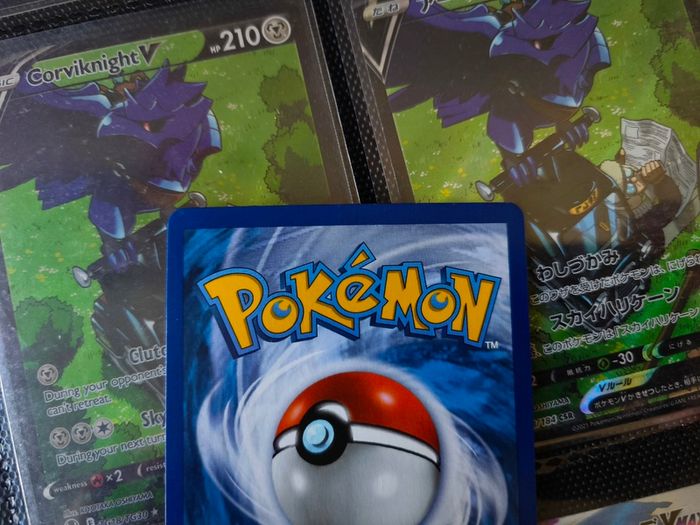 MCamerupt EX ! XY Era Promo ! 2017 ! Pokemon Card !