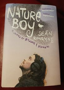 Nature Boy/ Sean Ronayne / 2024