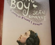 Nature Boy/ Sean Ronayne / 2024