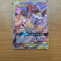 pokmon Charizard&Braixen GX