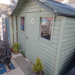 8ft x 6ft Pressure Treated Wooden Shed  - well cared for and maintained