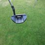 putter Image 2