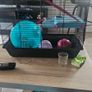 Hanster cage Image 3