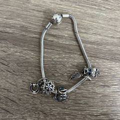 Pndora Charms braselets