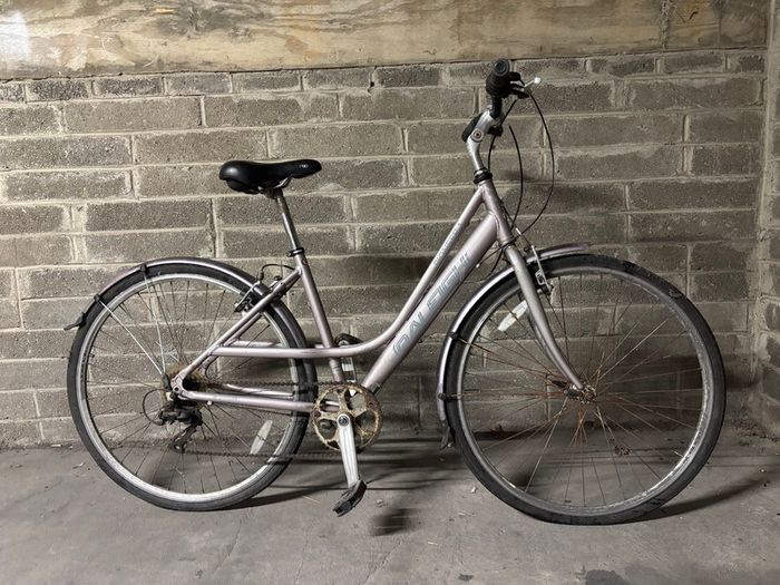 Ranelagh 7-Speed City Bike - Step-Through Frame with Mudguards
