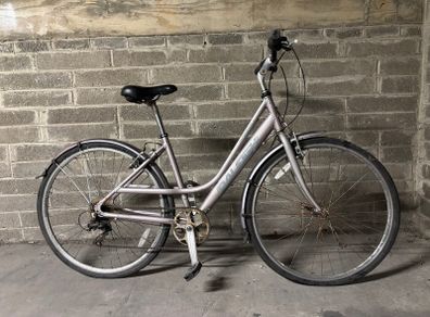 Ranelagh 7-Speed City Bike - Step-Through Frame with Mudguards