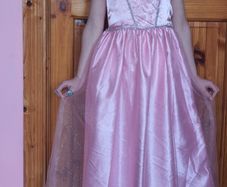 Princess Dress /costume 6-8yrs