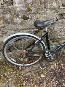 Bike (free for collection)