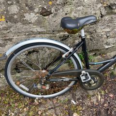 Bike (free for collection)
