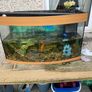 Juwel Aquarium Image 2
