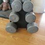 dumbell tree Image 6