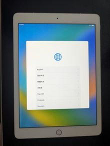 iPad Pro