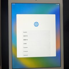 iPad Pro
