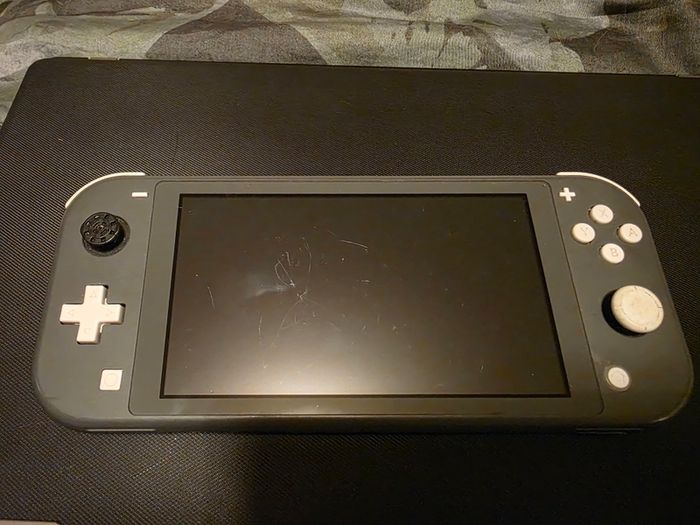 Nintendo switch lite