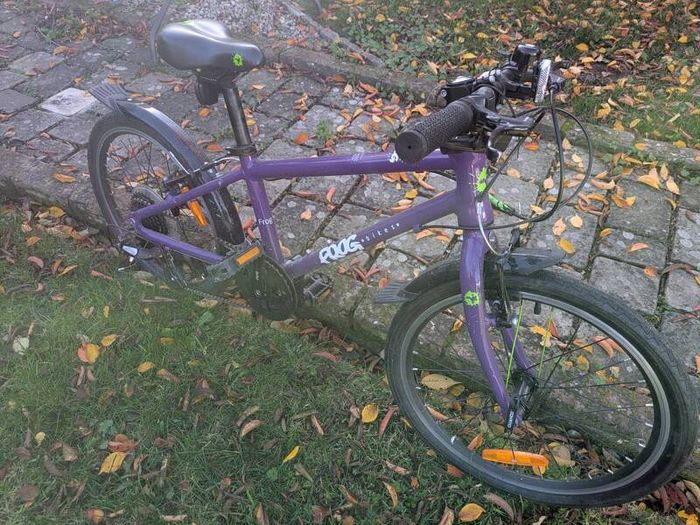 frog bike 55