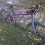 frog bike 55 Image 2