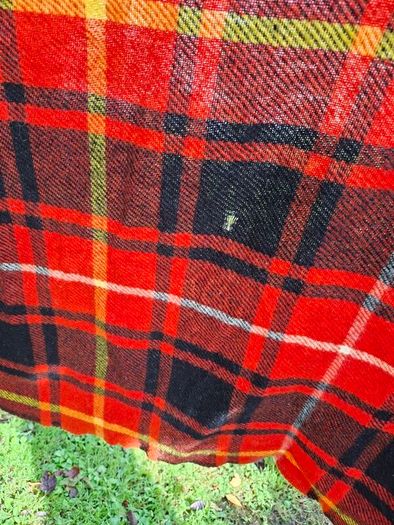 Wool Blanket