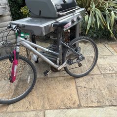 Raleigh bike