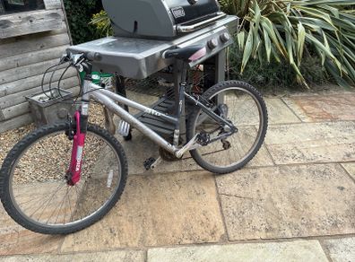 Raleigh bike