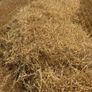 wheaten straw 8x4x3 Image 2