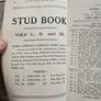 Catalogues Of The 10th & 11th Irish Kennel Club Shows 1931-32. Plus To Stud Cards For Dogs. Paperbacks In Only Fair Condition.  See Photos For Same. Image 7