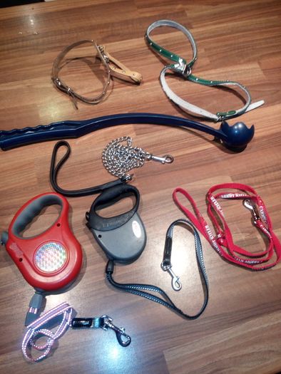 Dog Leads and Harnesses