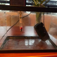 fish tank