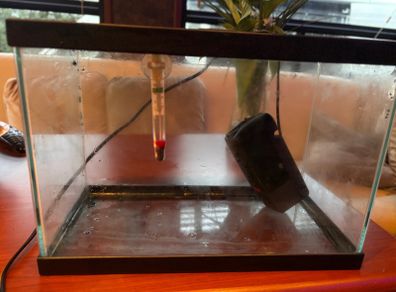 fish tank