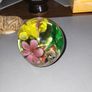 Glass crystal paperweight Image 4
