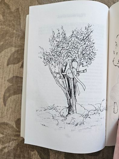 A Light Between The Hills. By Heather Parsons. Illustrated By Don Conroy.a First Edition Paperback In Good Condition   See Photos For Same.