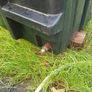 oil tank Image 3