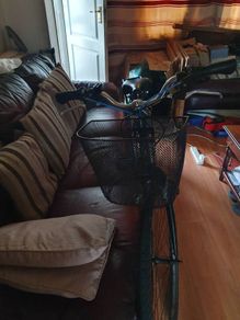 ladies  bike.