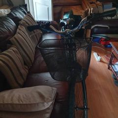 ladies  bike.