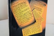 The Jesus Letters! Letters from an Innocent Abroad in Ireland by Eanna Brophy (RB442)