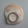 PHOTO FRAME - Seashell - Rhinestones Image 6