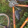 bike Image 2