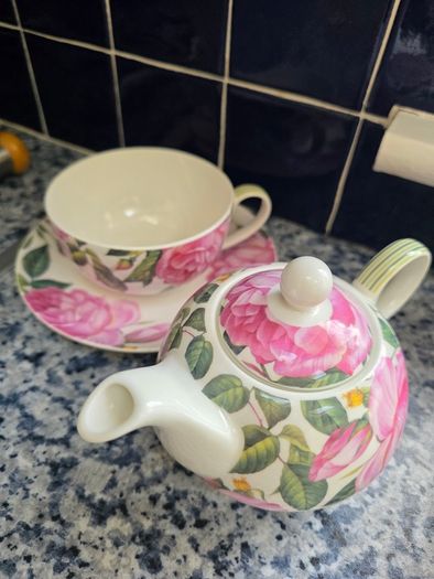 Newbridge bone china tea pot/cup & saucer set