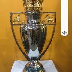 Premier League replica cup for sale