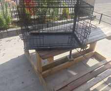dog cage